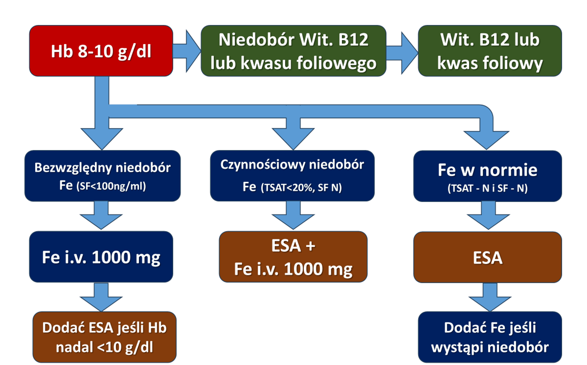 Rekomendowany schemat postępowania w ciężkiej niedokrwistości